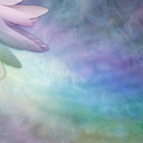 Pictures Landscape (1920 x 1080 px) (20)